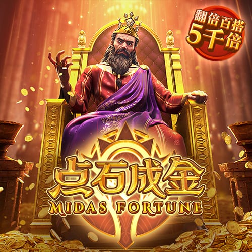 55世纪官网首页